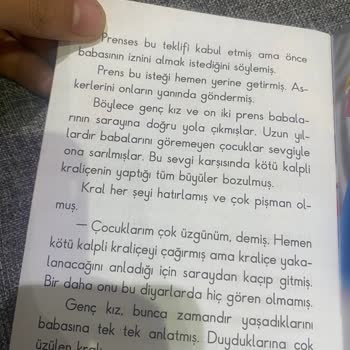 Hakim Yayınları Yaban Kuğuları Hikayesi