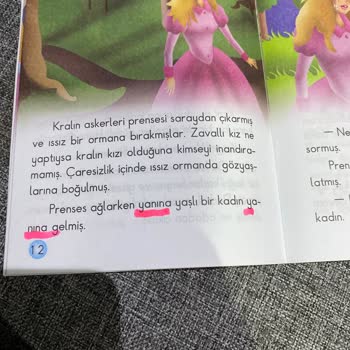 Hakim Yayınları Yaban Kuğuları Hikayesi