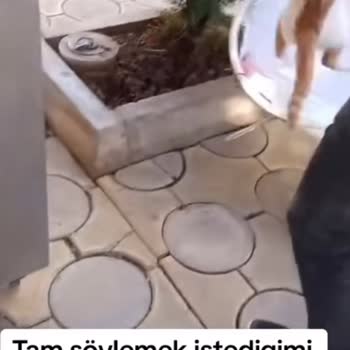 Mersin Suphi Öner Öğretmenevi Kediyi Çuvala Koyup Ağzını Kapatmışlar!