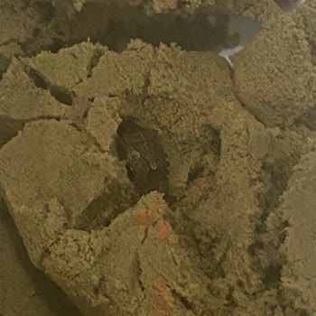 ebebek E Bebekten Aldığım Kinetik Kumdan Böcek Çıktı!