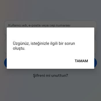 Instagram Hesabıma Uygulamadan Giremiyorum