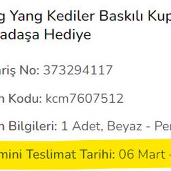 ÇiçekSepeti Hediyemi Mağazası Teslim Tarihini Geciktirdi Ve Geri Dönüş Yapmadı.