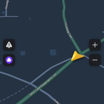 İBB - İstanbul Büyükşehir Belediyesi Başıboş Saldırgan Köpek