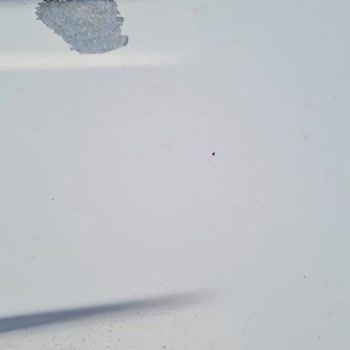 Peugeot Boya Atma Sorunu