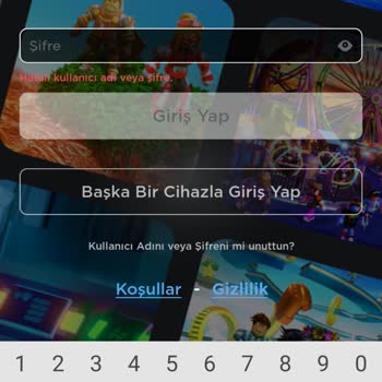 ROBLOX Bana Yeni Şifre Gönder