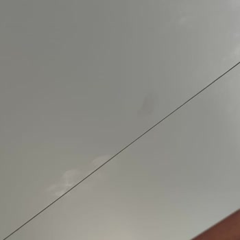 AGT Ağaç Sanayi AGT Çıkmayan Lekeler