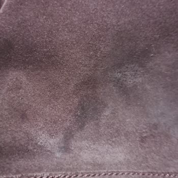 Ankara Tunalı Salmander'e Dikkat!