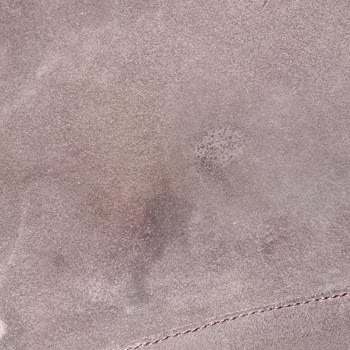 Ankara Tunalı Salmander'e Dikkat!