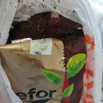 Migros Efor Çayın İçi Çer Çöp Dolu