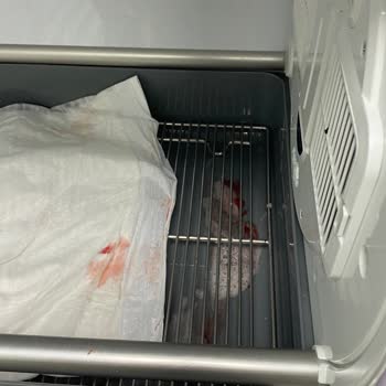 Veteriner Sağlık Merkezi Vet Point Veteriner Kliniği İhmalsizliği