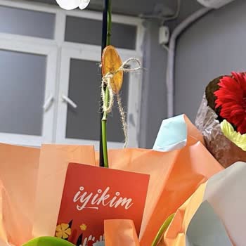Taze Çiçek (tazecicek.com) Ürün Görseli Dışında Gönderim