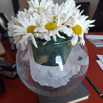 ÇiçekSepeti Kadınlar Günü Kadına Üzüntü Oldu