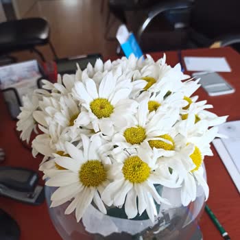 ÇiçekSepeti Kadınlar Günü Kadına Üzüntü Oldu