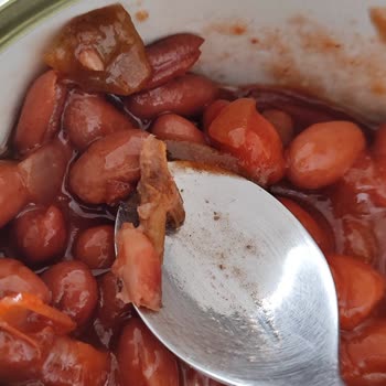 Tamek Barbunya Pilaki İçinden Sıkan Tahta Parçası