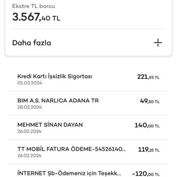 Akbank Sigorta Sazan Sarmalı