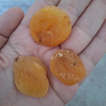 Çerezya Markalı Kuru Kayısı Bozuk Çıktı