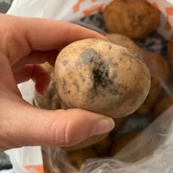 Migros Hemen Kötü Ürün