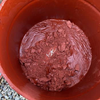 Kralsan Boya Pişmanlığı