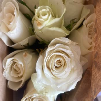 Çiçek Sepeti Çiçeklerin Çürümüş Halde Gönderilmesi.