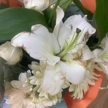 Çiçek Sepeti Görselle Alakası Olmayan Kokan Buruşuk Çiçek Gönderimi