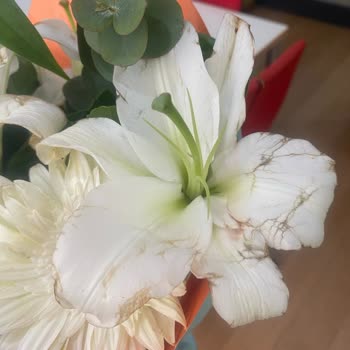 Çiçek Sepeti Görselle Alakası Olmayan Kokan Buruşuk Çiçek Gönderimi