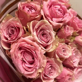 Lilyana Flowers Kadınlar Günü İçin Rezil Oldum