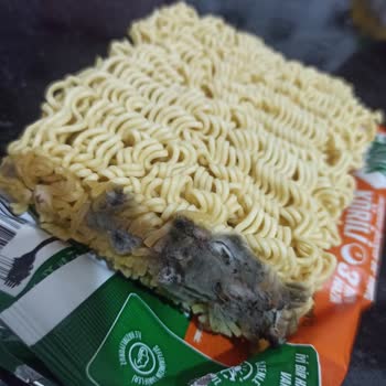 Knorr Noodle Vakası Şaka Gibi