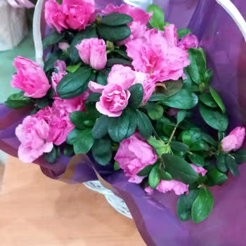 Ceren's Çiçekçilik Görselden Farklı Teslim Edilen Çiçek