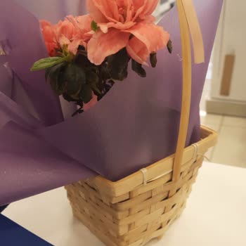 Ceren's Çiçekçilik Görselden Farklı Teslim Edilen Çiçek