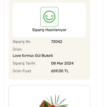 Hızlı Çiçek (hizlicicek.com) Siparişim Teslim Edilmedi, Acil Dönüş Bekliyorum!
