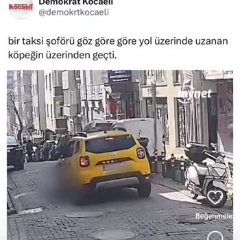 İstanbul Taksiciler Esnaf Odası (ITEO) Taksi Şoförünün Hayvana Şiddetini Kınama Ve Adalet Çağrısı