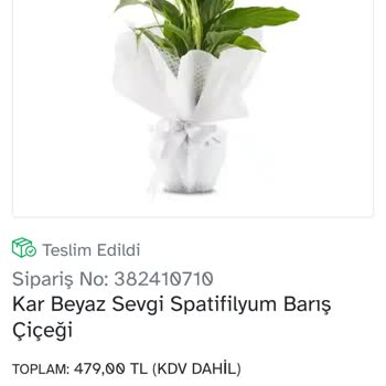 Osevio.com Kadınlar Günü Hüsranı: Siparişim Ve Müşteri Hizmetleri Fiaskosu
