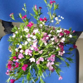 Çiçek Sepeti Mağduru