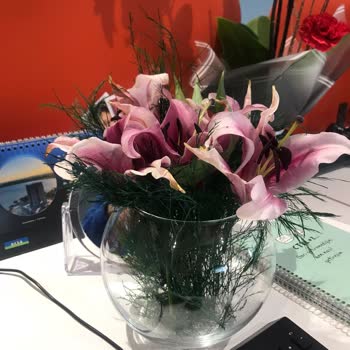 ÇiçekSepeti Solmuş Sararmış Çiçek Gönderildi