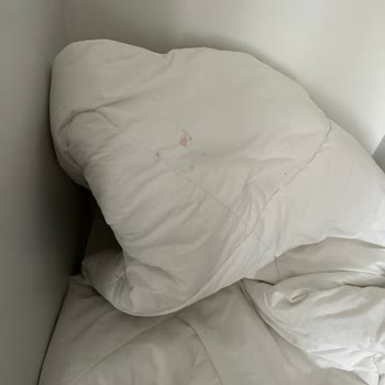 Taraklı Termal Pis Yorgan Yastıklar Genel Hijyen Eksikliği.