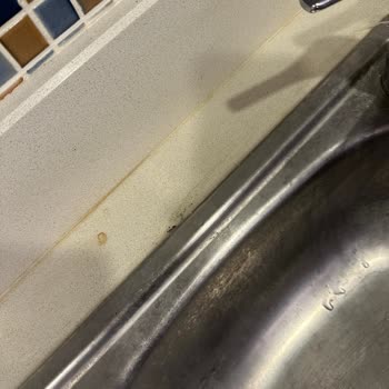 Taraklı Termal Pis Yorgan Yastıklar Genel Hijyen Eksikliği.