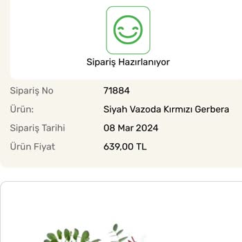 Hizlicicek.com Adlı Siteden Aldığım Çiçek Teslim Edilmedi.