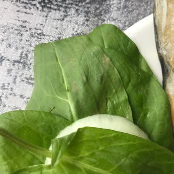 Fevzi Hoca Balık-Köfte Söğütözü Şubesi Lütfen Temizliğe Dikkat Edilsin!