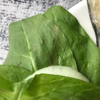 Fevzi Hoca Balık-Köfte Söğütözü Şubesi Lütfen Temizliğe Dikkat Edilsin!