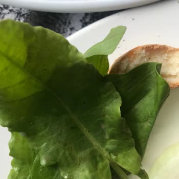 Fevzi Hoca Balık-Köfte Söğütözü Şubesi Lütfen Temizliğe Dikkat Edilsin!