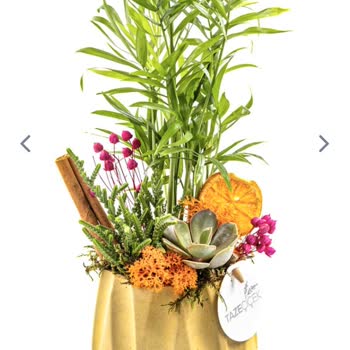 Taze Çiçek (tazecicek.com) Ürün Farklılığı Ve Geç Teslimat