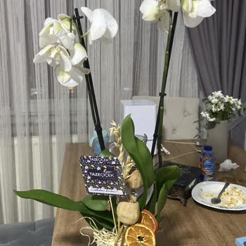 Tazecicek.com 3. Kez Solmuş Çiçek Gönderimi