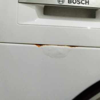 Bosch Lütfen Yetkilerin Gerekeni Yapmalarını İstiyorum