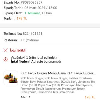 Trendyol Yemek Kurye Mağduriyeti Müşteri Temsilcisi Mağduriyeti
