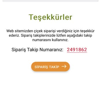 Ciceksepeti.net Sipariş Sorunu