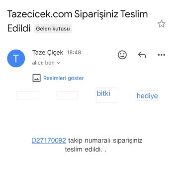 Taze Çiçek (tazecicek.com) Siparişim Teslim Edilmedi