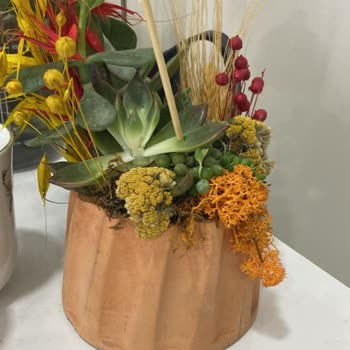 Taze Çiçek Sitesinden Verdiğim Çiçeğin Görseldeki Çiçekle Alakası Yok!