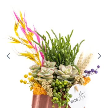 Taze Çiçek Sitesinden Verdiğim Çiçeğin Görseldeki Çiçekle Alakası Yok!