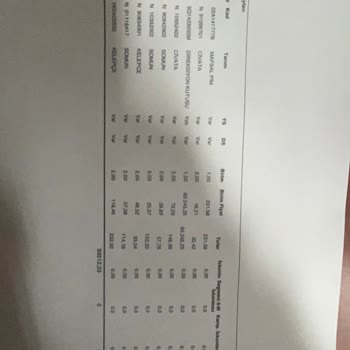 Seat Direksiyon Kutusu Arızası
