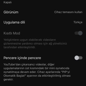 Vodafone Güvenli İnternet, Kısıtlama